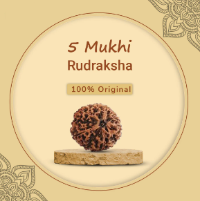 Rudraksha