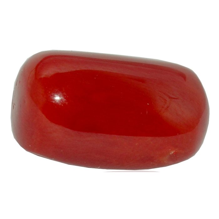 Red Coral