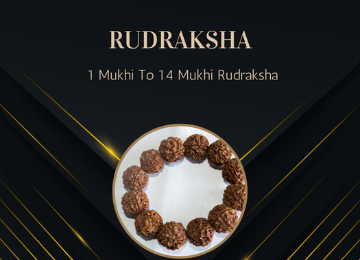 Rudraksha